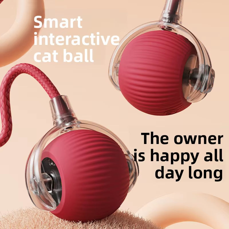 Jouet Pour Chat Pour L'Auto-Entretien, Balle Teaser Intelligente Pour Chat, Baguette Automatique Pour Chat, Pour Jouer Avec Des Chats Et Des Chats Ou Des Chiens Qui Marcent